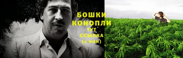 индика Волоколамск