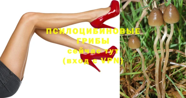 героин Вяземский