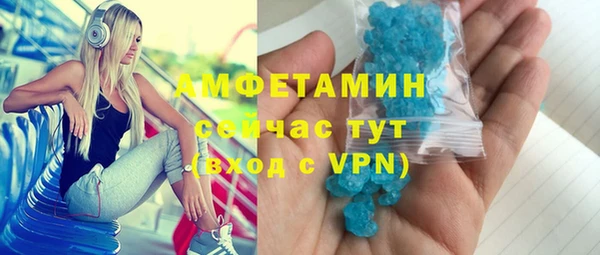индика Волоколамск